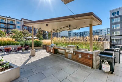 Outdoor barbecue area with seating and landscaping