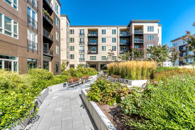 Outdoor garden space with seating and building in background