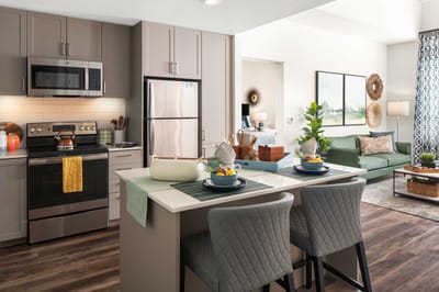 Bright kitchen and living area in a senior living apartment