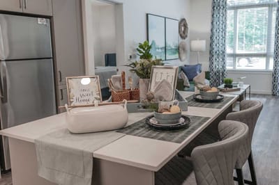 Stylish interior of a senior living space with kitchen and decor