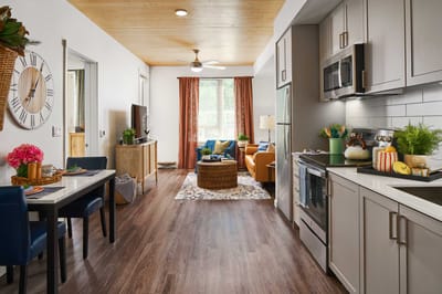 Modern kitchen and living area in a senior apartment