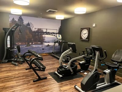 Fitness area with gym equipment and scenic mural