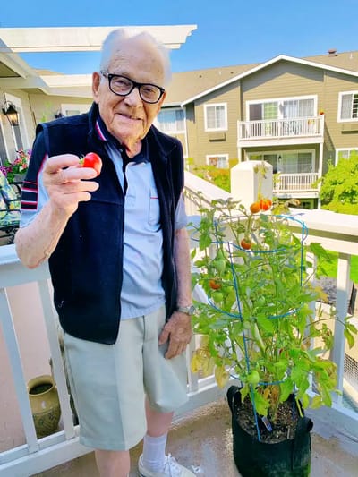 Elderly resident holding a tomato in a garden