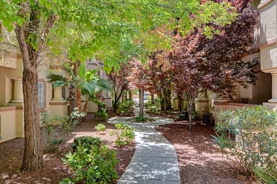 Pathway through a beautifully landscaped garden area