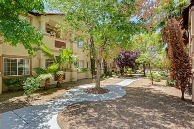 Well-maintained outdoor garden area with pathways