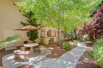 A serene outdoor space with seating and trees