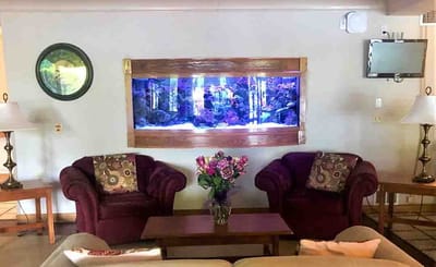 Cozy common area with seating and aquarium