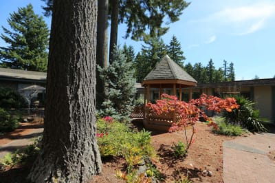 Outdoor gazebo surrounded by landscaped gardens