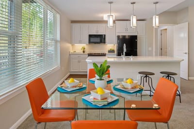 Modern kitchen with a dining area and bright decor