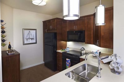 Modern kitchen interior with appliances and cabinetry