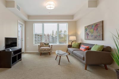 Cozy interior living room with window and furniture