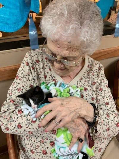 Elderly woman cuddling a kitten.