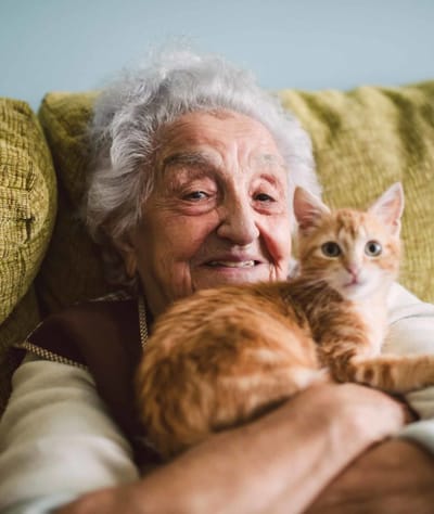 Elderly woman smiling with a cat on her lap