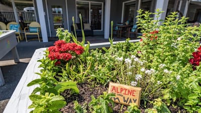 Vibrant garden with flowers outside the facility