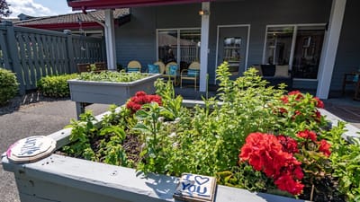 Flower boxes with colorful flowers in a garden space