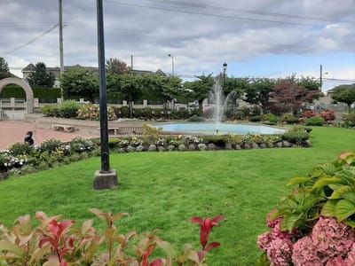 Well-maintained outdoor garden with a fountain