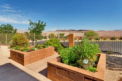 Outdoor garden area with lush plants and a fence
