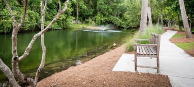 Serene pond with benches in a landscaped area