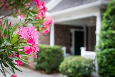 Vibrant flowers near the entrance of a facility