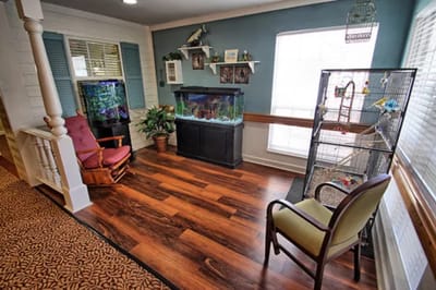 Cozy interior corner with seating and an aquarium