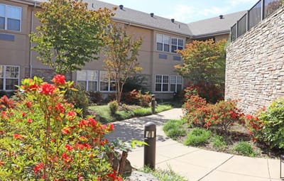 Beautifully landscaped outdoor space with flowers and pathways
