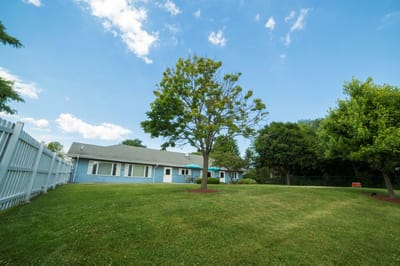 Outdoor space with trees and a lawn