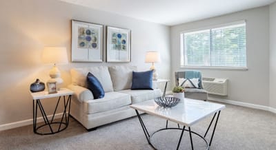 Cozy living area with stylish furniture and decor