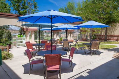 Outdoor seating area with umbrellas in a garden
