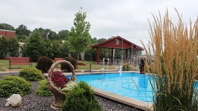 Outdoor pool area with fountains and garden