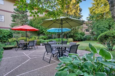 Outdoor seating area with umbrellas and greenery