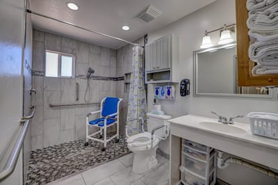 Accessible bathroom with shower and safety features