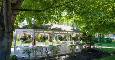 Garden gazebo surrounded by greenery