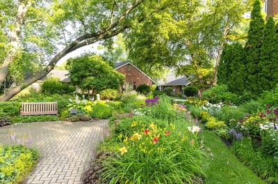 Beautiful garden area with colorful flowers and paths