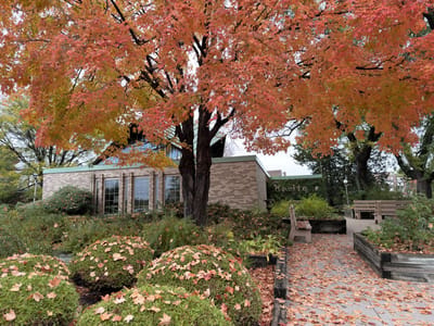 Vibrant autumn view of the outdoor space with colorful leaves