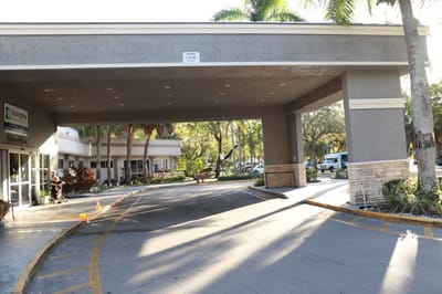 Entrance with covered walkway and palm trees