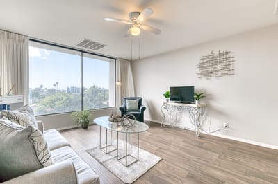 Bright living room with modern decor and large window