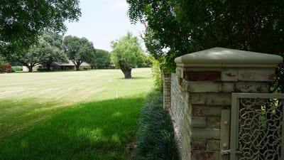 View of well-maintained green outdoor space