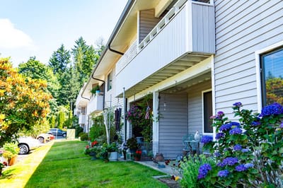 Beautiful outdoor space with flowers and greenery