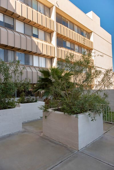 Exterior view of the building with outdoor planting