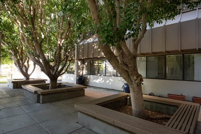 A serene outdoor space with trees and benches