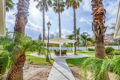 Sunny outdoor seating area with palm trees
