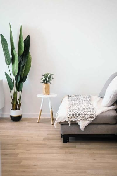 Cozy interior space with a couch and plants