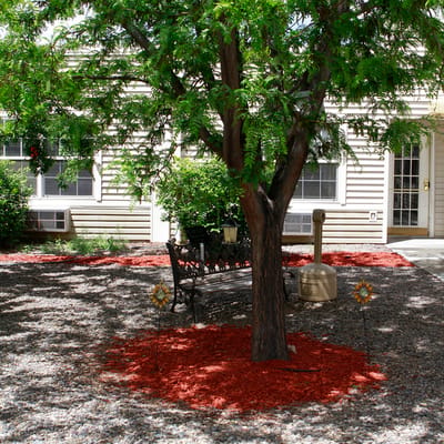 Outdoor space with a tree and seating area