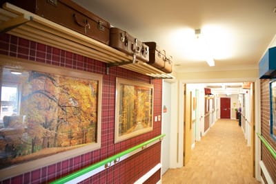 A corridor with framed nature photos and suitcases