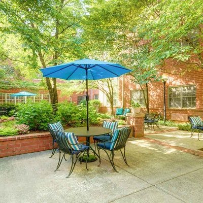 Outdoor seating area with umbrellas and greenery