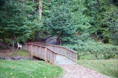 A wooden bridge within a lush garden area