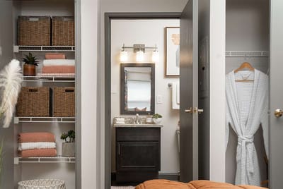 Interior view of a well-decorated bathroom and closet