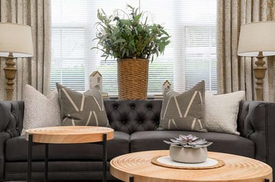 Cozy living area with plants and decorative pillows