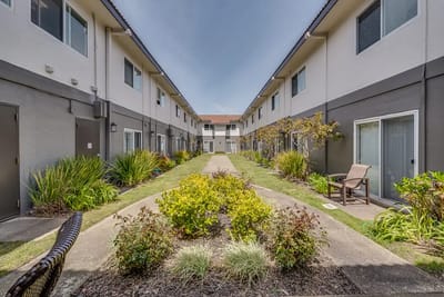View of a landscaped courtyard between buildings