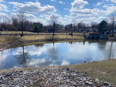 Scenic pond surrounded by trees and grassy area